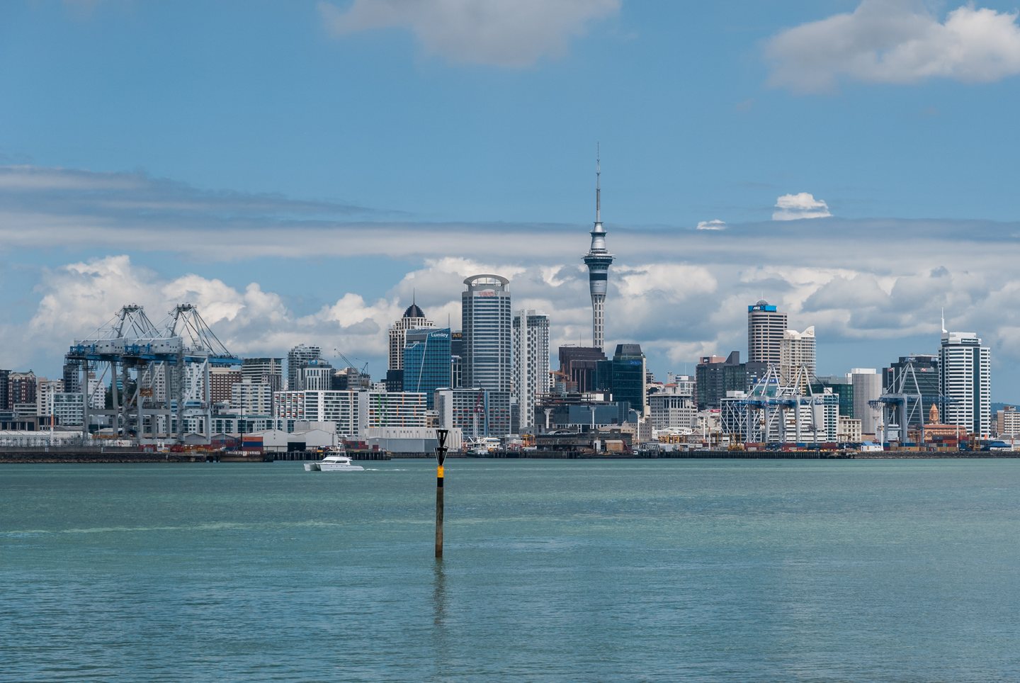 Auckland city skyline