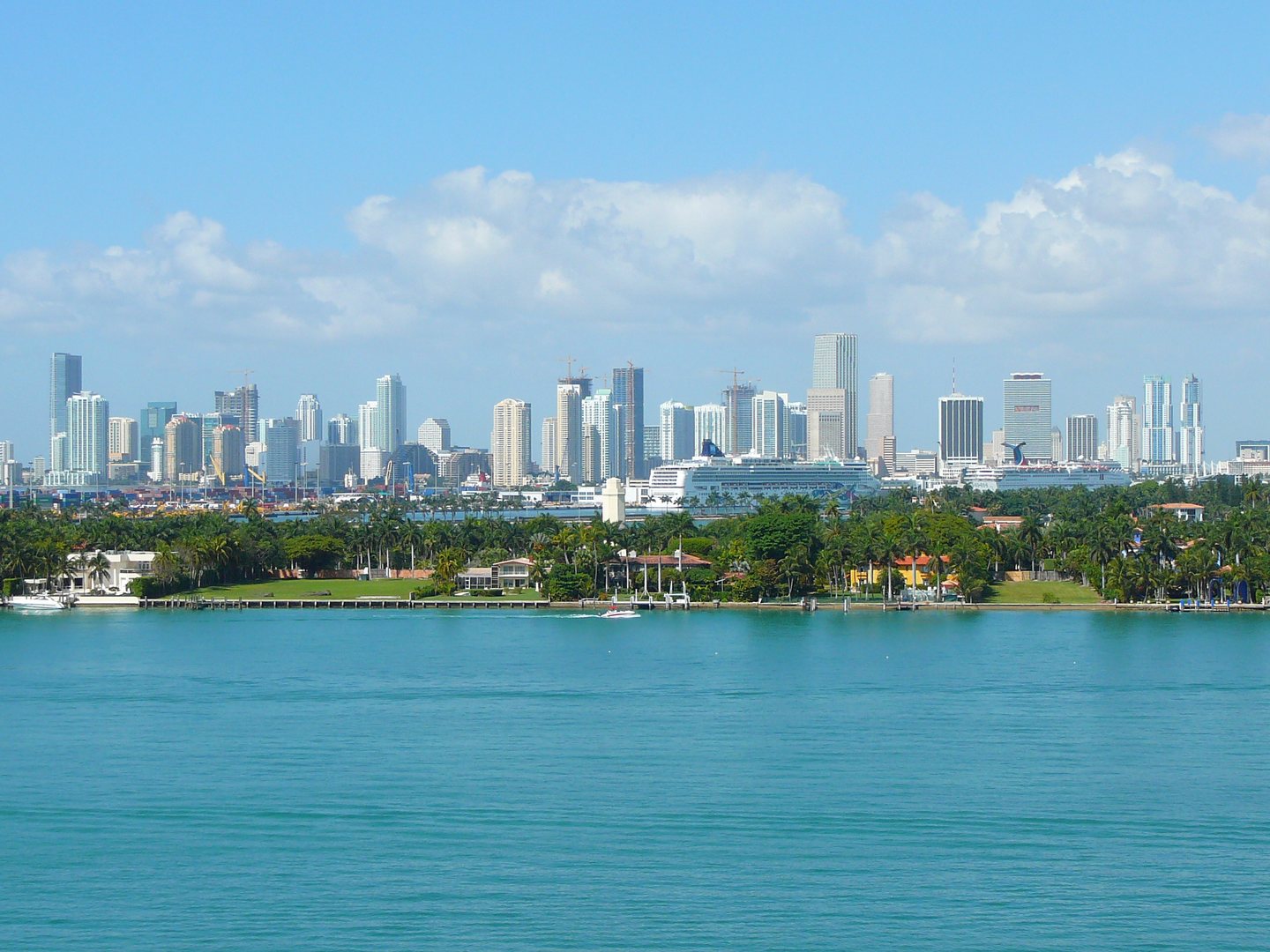 Miami city skyline
