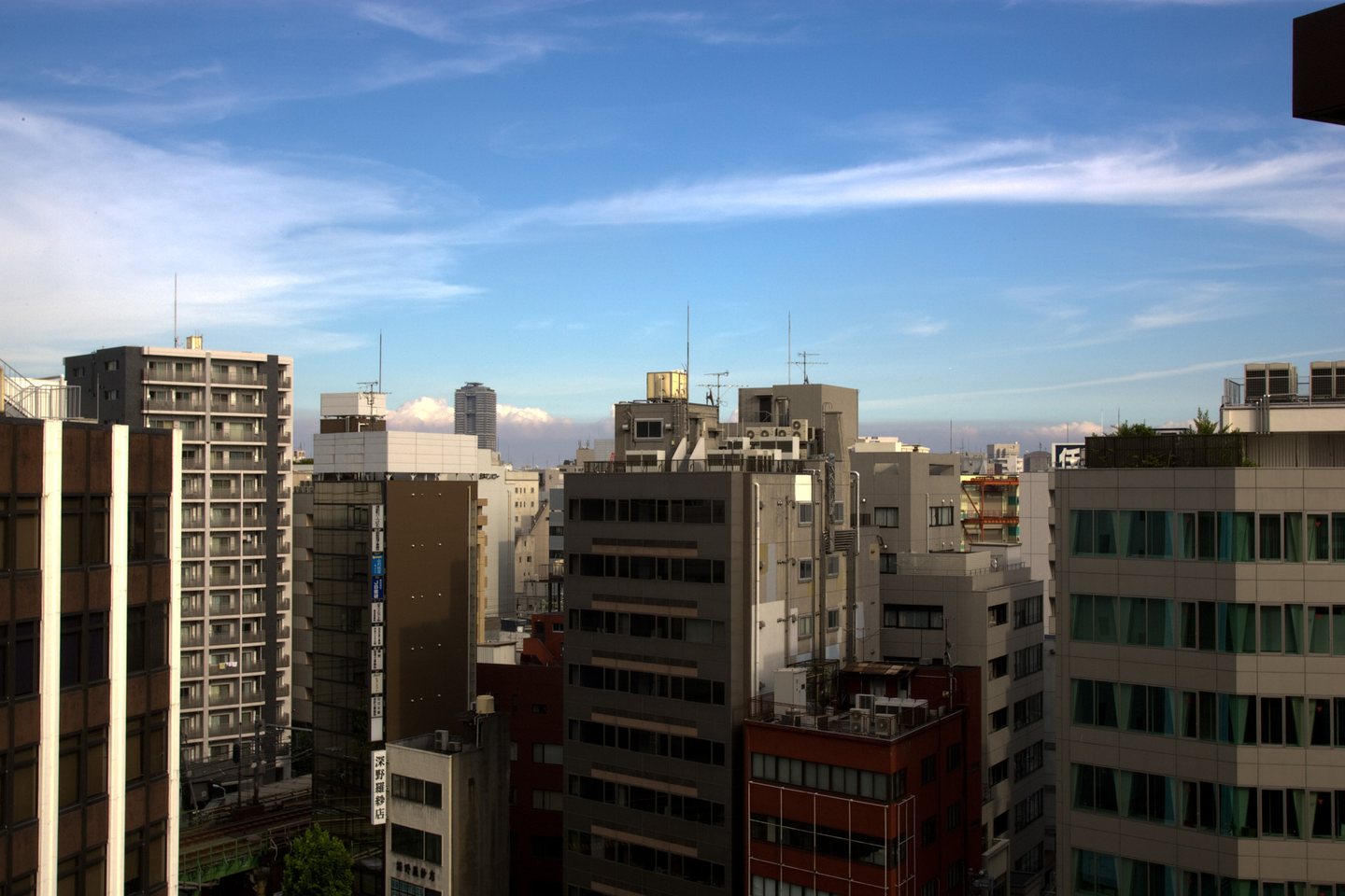 Tokyo city skyline