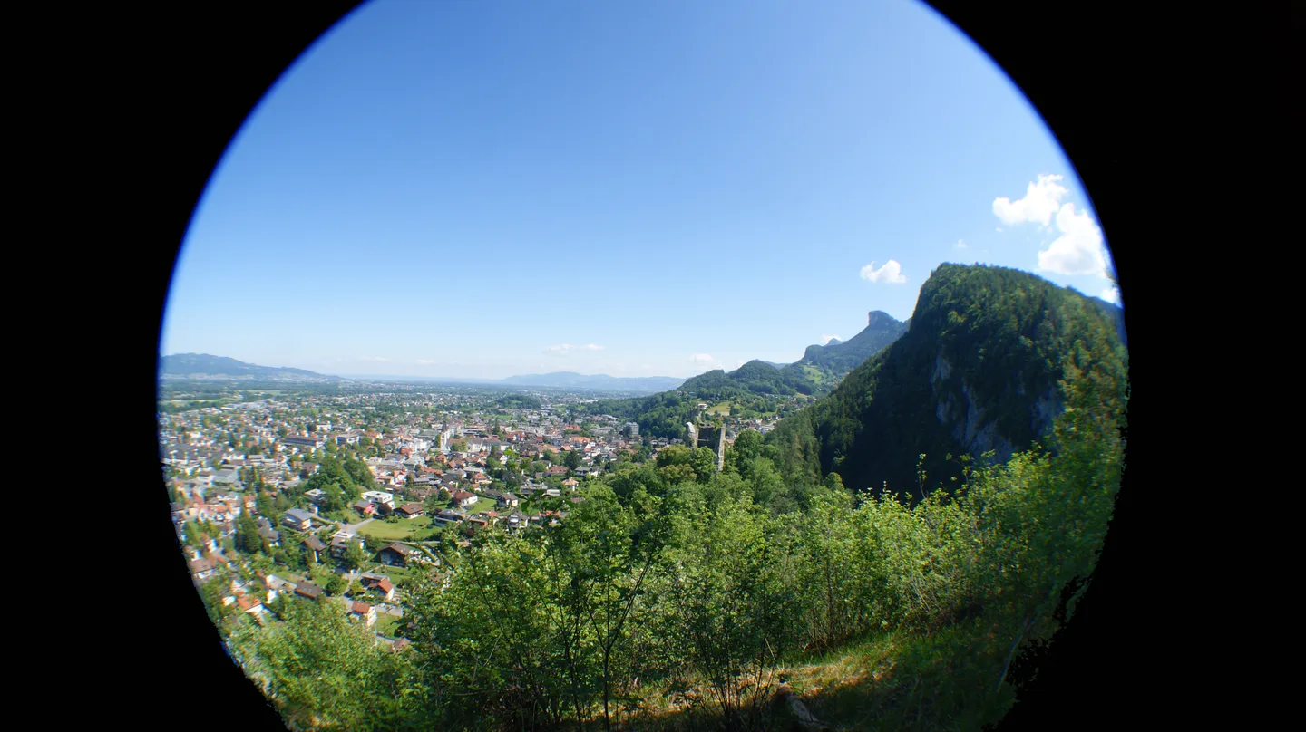 Alpine landscape in the Rhine Valley of Austria